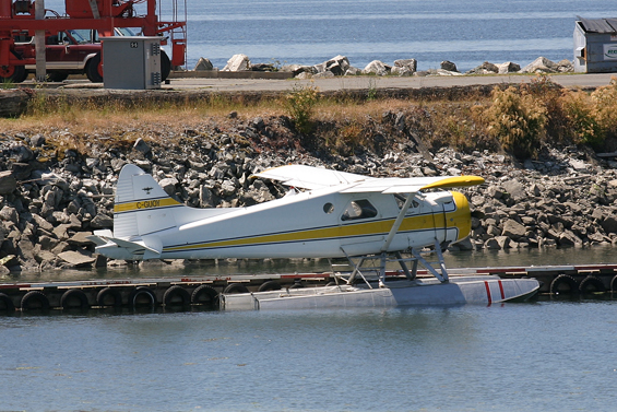 Simon Codd 1101